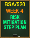 BSA/520 Week 4 Risk Mitigation Step Plan